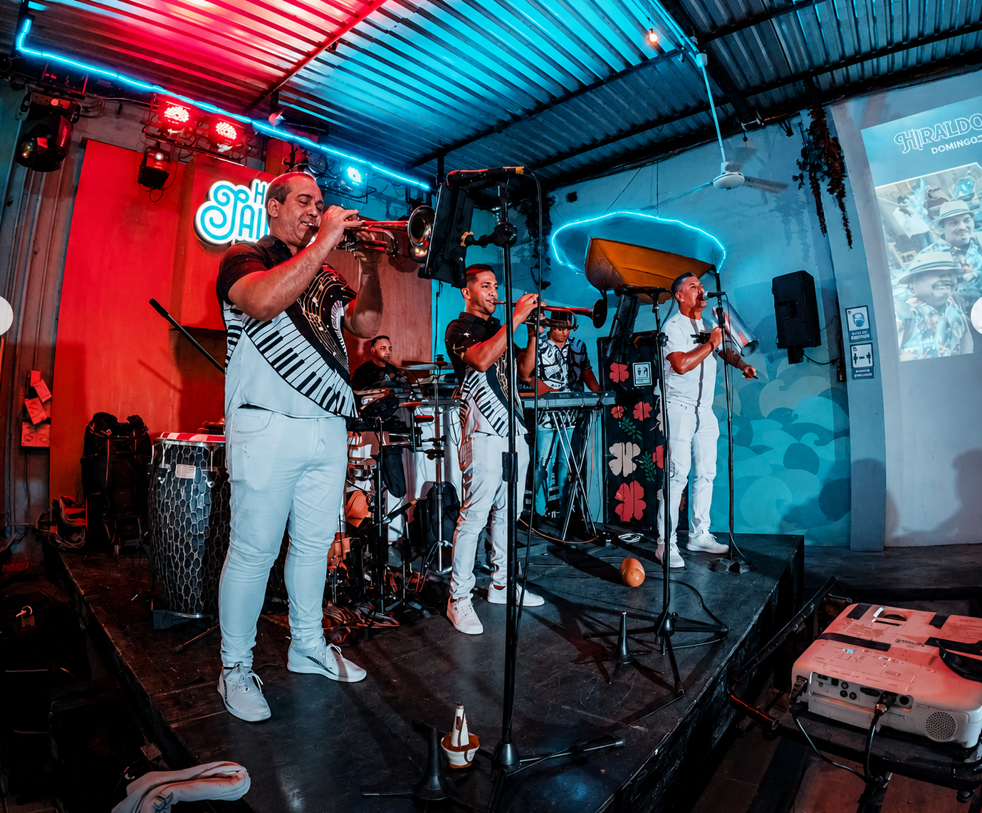 Shows en vivo cada semana
